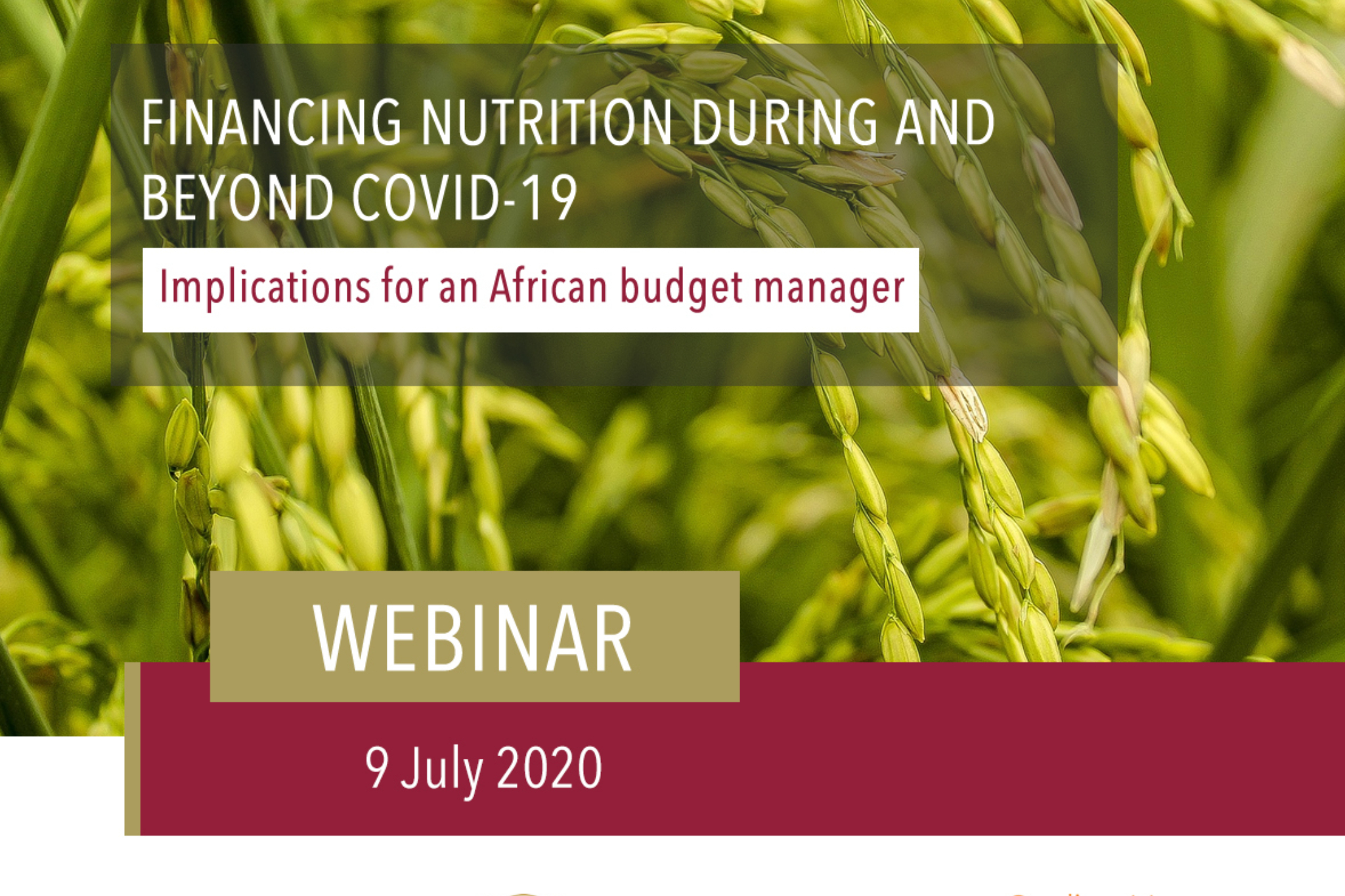 Holding Slide Financing Nutrition During And Beyond Covid 19