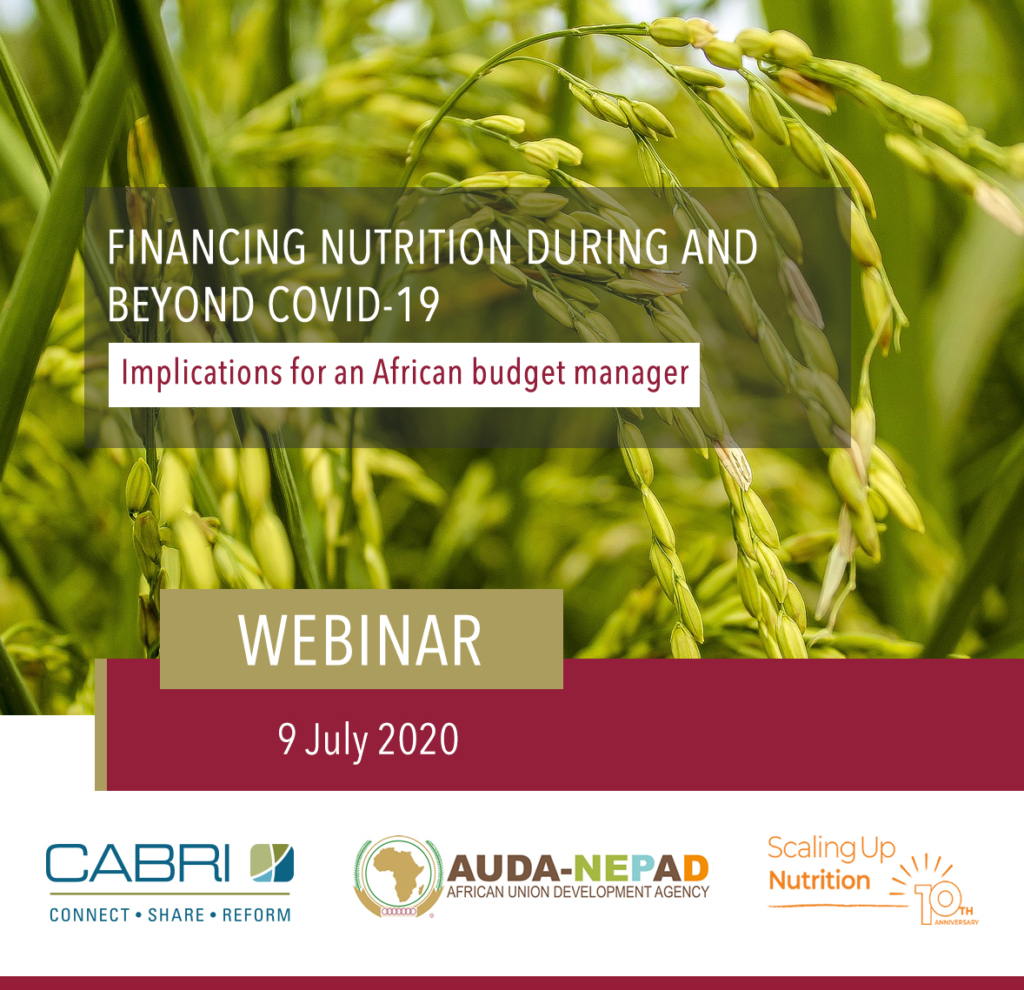 Holding Slide Financing Nutrition During And Beyond Covid 19