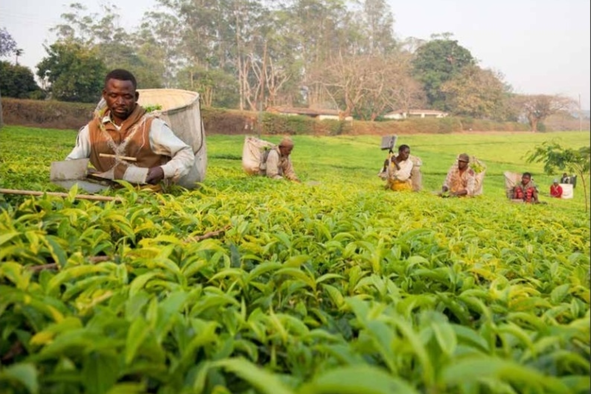 The Cabri Sector Dialogue On The Policy Challenge And Efficiency In Agriculture Spending